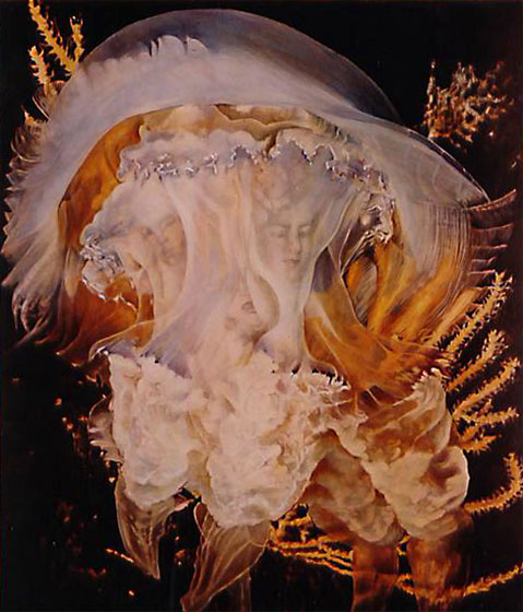 meduse