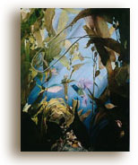 poisson